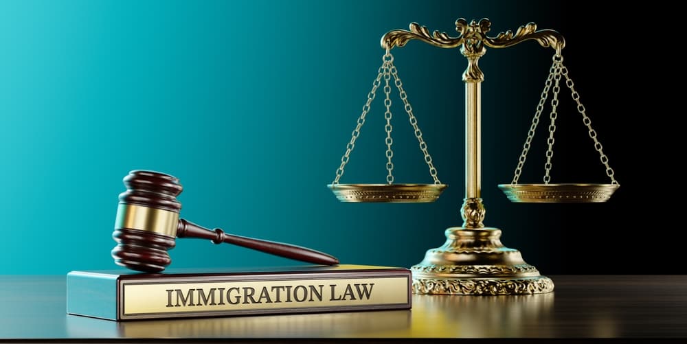 Immigration Legal Services